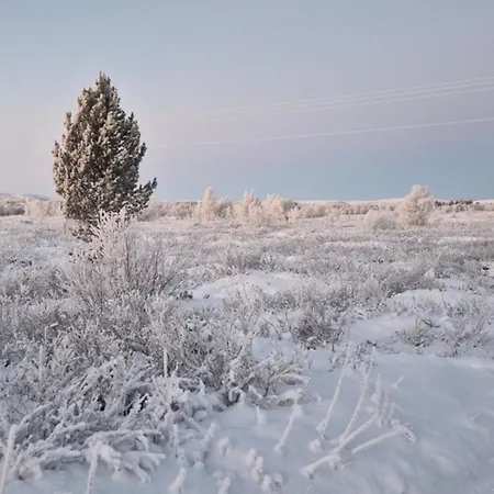 Hytteparadis Ved Neidenelva