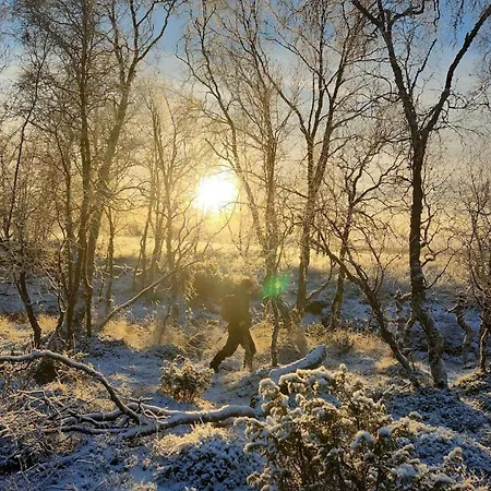 Hytteparadis Ved Neidenelva *