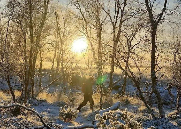 Hytteparadis Ved Neidenelva *
